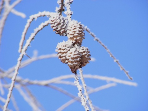 Kliknij na zdjęcie, żeby zobaczyć w pełnych wymiarach