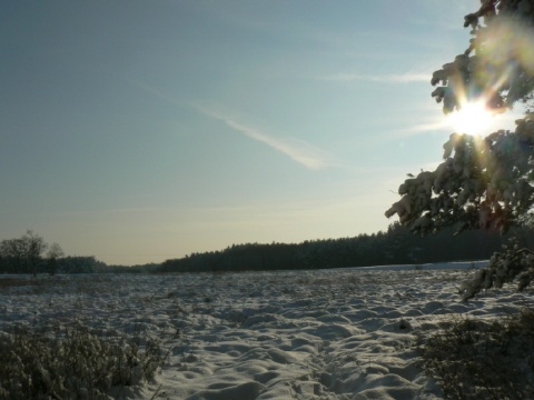 Kliknij na zdjęcie, żeby zobaczyć w pełnych wymiarach