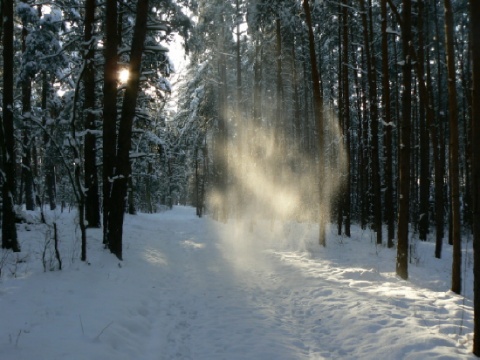 Kliknij na zdjęcie, żeby zobaczyć w pełnych wymiarach
