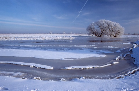 Kliknij na zdjęcie, żeby zobaczyć w pełnych wymiarach