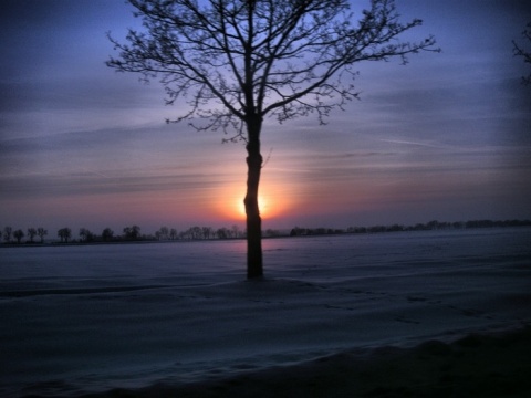 Kliknij na zdjęcie, żeby zobaczyć w pełnych wymiarach