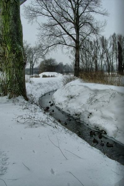 Kliknij na zdjęcie, żeby zobaczyć w pełnych wymiarach