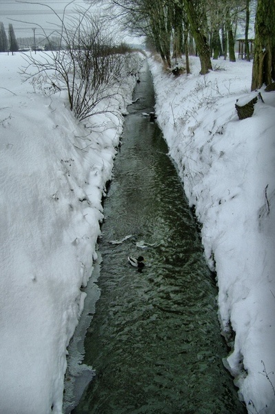 Kliknij na zdjęcie, żeby zobaczyć w pełnych wymiarach