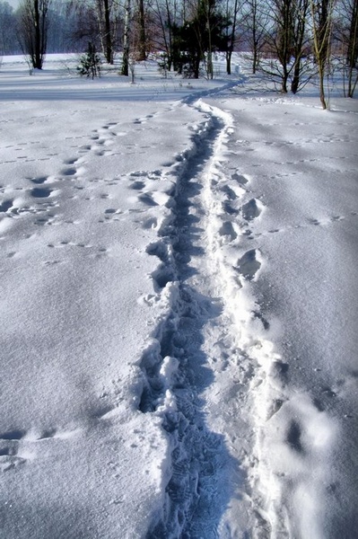 Kliknij na zdjęcie, żeby zobaczyć w pełnych wymiarach