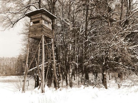 Kliknij na zdjęcie, żeby zobaczyć w pełnych wymiarach