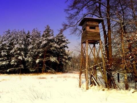 Kliknij na zdjęcie, żeby zobaczyć w pełnych wymiarach
