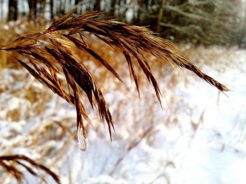 Kliknij na zdjęcie, żeby zobaczyć w pełnych wymiarach