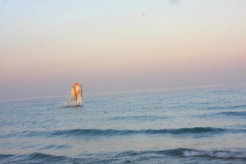 Kliknij na zdjęcie, żeby zobaczyć w pełnych wymiarach