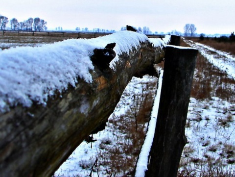 Kliknij na zdjęcie, żeby zobaczyć w pełnych wymiarach