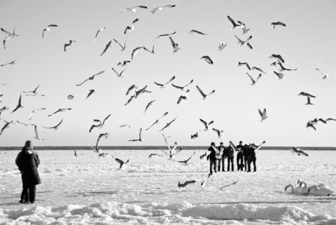 Kliknij na zdjęcie, żeby zobaczyć w pełnych wymiarach