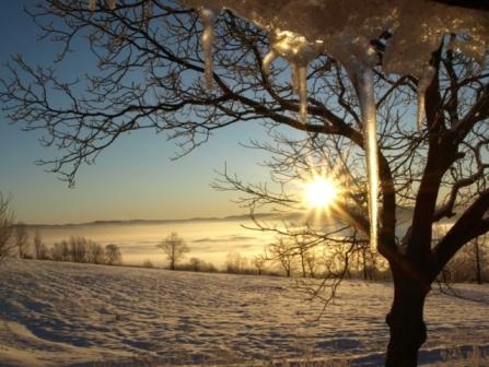 Kliknij na zdjęcie, żeby zobaczyć w pełnych wymiarach