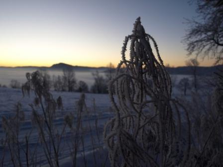 Kliknij na zdjęcie, żeby zobaczyć w pełnych wymiarach