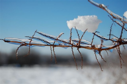 Kliknij na zdjęcie, żeby zobaczyć w pełnych wymiarach
