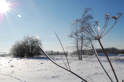 Kliknij na zdjęcie, żeby zobaczyć w pełnych wymiarach
