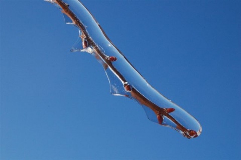 Kliknij na zdjęcie, żeby zobaczyć w pełnych wymiarach