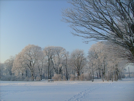 Kliknij na zdjęcie, żeby zobaczyć w pełnych wymiarach