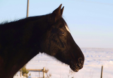 Kliknij na zdjęcie, żeby zobaczyć w pełnych wymiarach