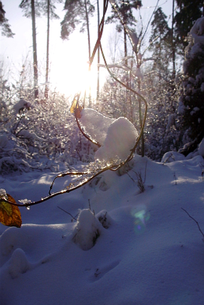 Kliknij na zdjęcie, żeby zobaczyć w pełnych wymiarach