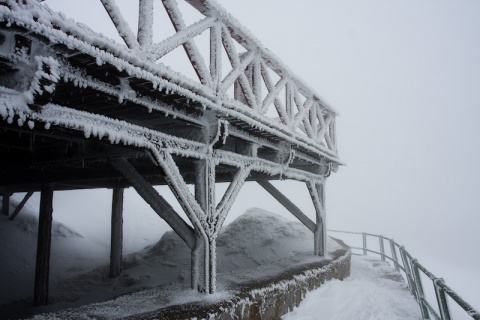 Kliknij na zdjęcie, żeby zobaczyć w pełnych wymiarach