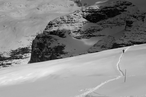 Kliknij na zdjęcie, żeby zobaczyć w pełnych wymiarach
