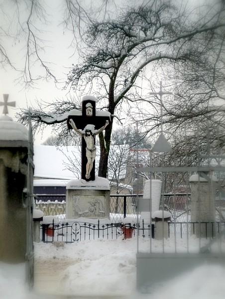 Kliknij na zdjęcie, żeby zobaczyć w pełnych wymiarach