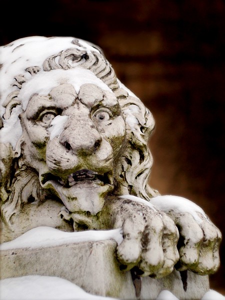 Kliknij na zdjęcie, żeby zobaczyć w pełnych wymiarach