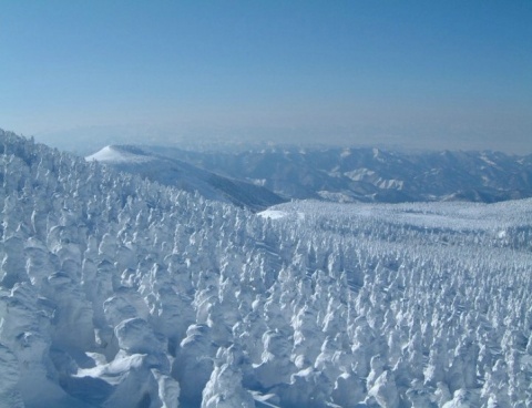 Kliknij na zdjęcie, żeby zobaczyć w pełnych wymiarach
