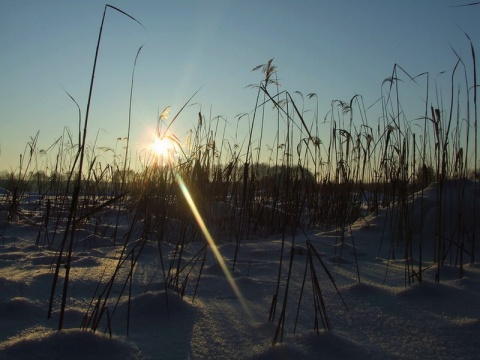 Kliknij na zdjęcie, żeby zobaczyć w pełnych wymiarach