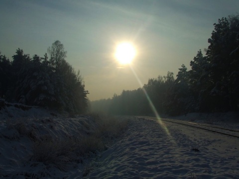 Kliknij na zdjęcie, żeby zobaczyć w pełnych wymiarach