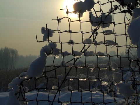 Kliknij na zdjęcie, żeby zobaczyć w pełnych wymiarach
