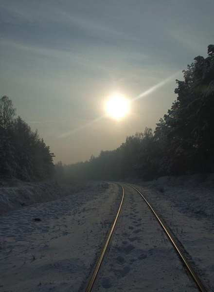 Kliknij na zdjęcie, żeby zobaczyć w pełnych wymiarach