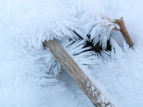 Kliknij na zdjęcie, żeby zobaczyć w pełnych wymiarach
