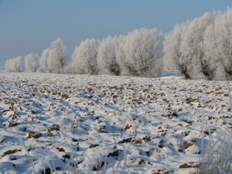 Kliknij na zdjęcie, żeby zobaczyć w pełnych wymiarach