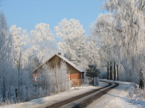 Kliknij na zdjęcie, żeby zobaczyć w pełnych wymiarach