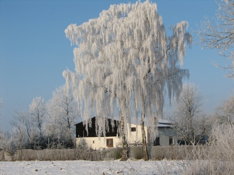 Kliknij na zdjęcie, żeby zobaczyć w pełnych wymiarach