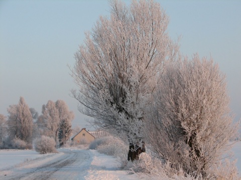 Kliknij na zdjęcie, żeby zobaczyć w pełnych wymiarach