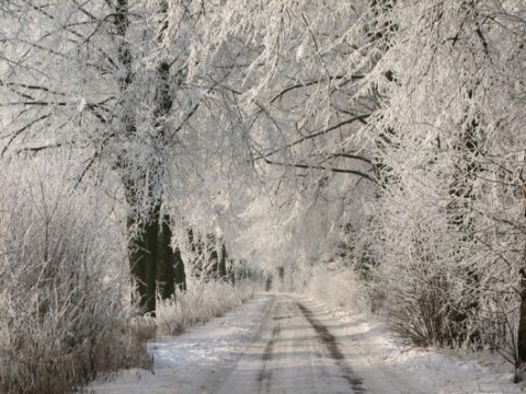 Kliknij na zdjęcie, żeby zobaczyć w pełnych wymiarach