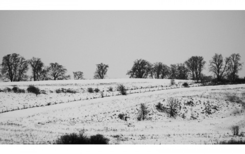 Kliknij na zdjęcie, żeby zobaczyć w pełnych wymiarach