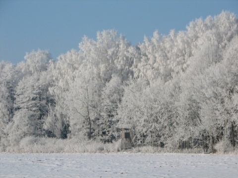 Kliknij na zdjęcie, żeby zobaczyć w pełnych wymiarach