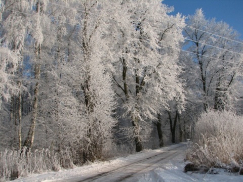 Kliknij na zdjęcie, żeby zobaczyć w pełnych wymiarach