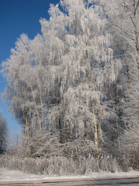 Kliknij na zdjęcie, żeby zobaczyć w pełnych wymiarach