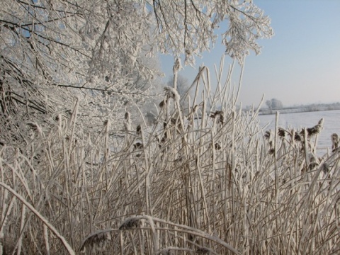 Kliknij na zdjęcie, żeby zobaczyć w pełnych wymiarach