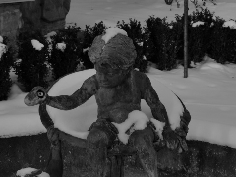 Kliknij na zdjęcie, żeby zobaczyć w pełnych wymiarach