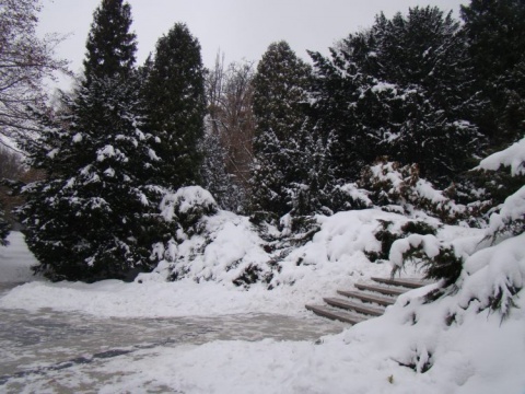 Kliknij na zdjęcie, żeby zobaczyć w pełnych wymiarach
