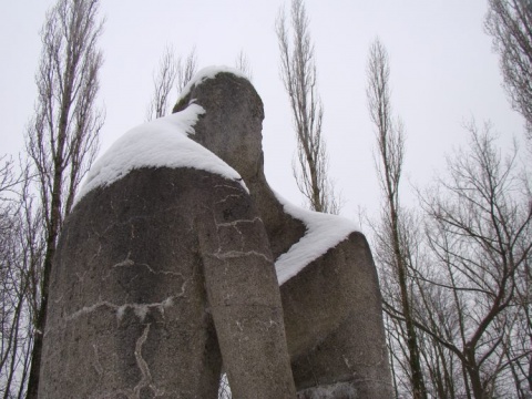 Kliknij na zdjęcie, żeby zobaczyć w pełnych wymiarach
