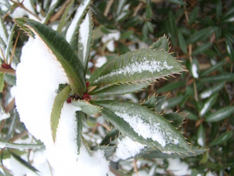 Kliknij na zdjęcie, żeby zobaczyć w pełnych wymiarach