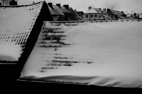 Kliknij na zdjęcie, żeby zobaczyć w pełnych wymiarach