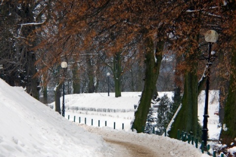 Kliknij na zdjęcie, żeby zobaczyć w pełnych wymiarach