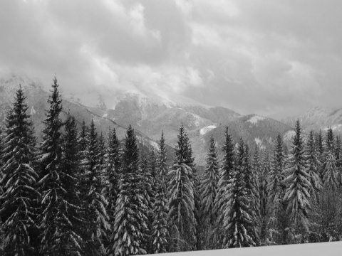 Kliknij na zdjęcie, żeby zobaczyć w pełnych wymiarach