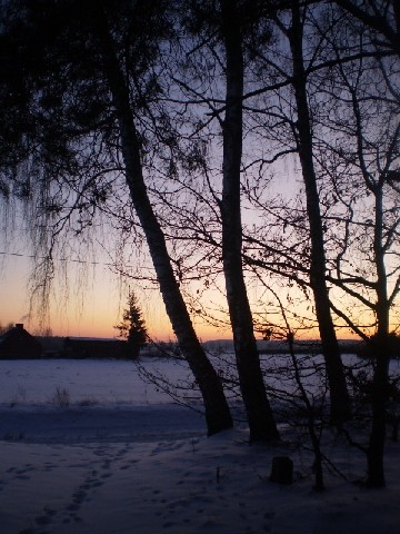 Kliknij na zdjęcie, żeby zobaczyć w pełnych wymiarach